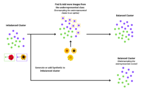 Addressing Class Imbalance in Visual Data