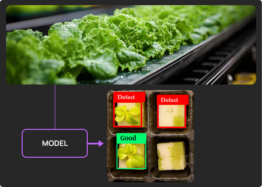 Defect Categorization